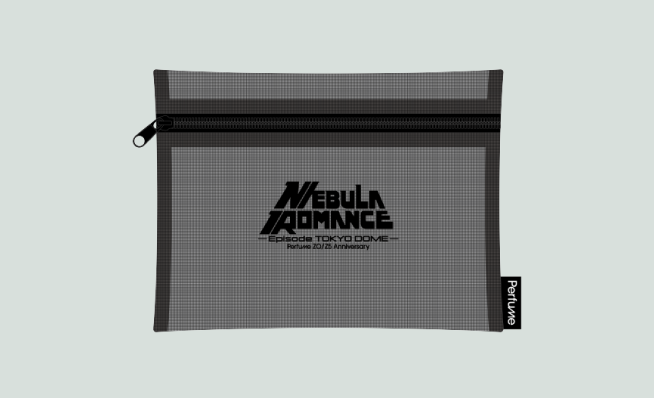 NEBULA MESH POUCH
